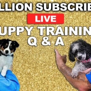 🔴 1 MILLION Subscriber Puppy Training Q&A!