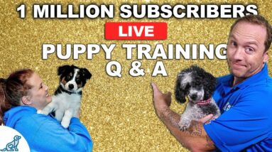 🔴 1 MILLION Subscriber Puppy Training Q&A!