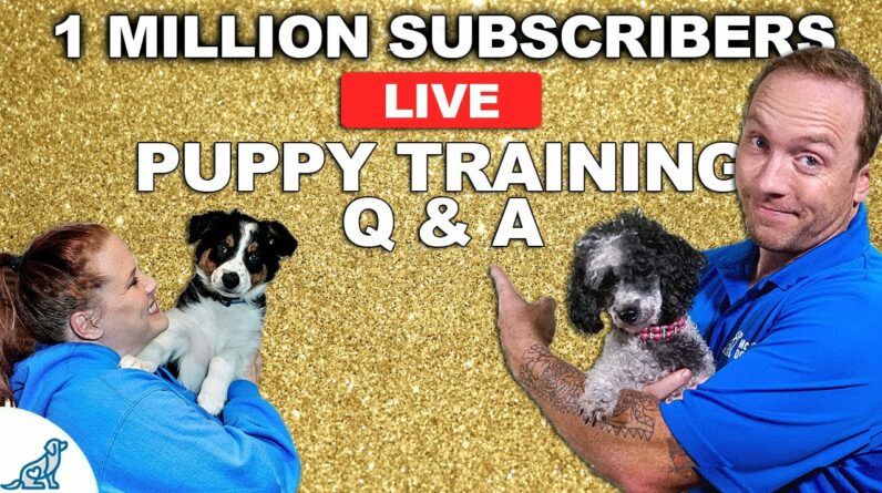 🔴 1 MILLION Subscriber Puppy Training Q&A!