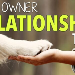 Your COMPLETE Dog Training Leadership Assessment