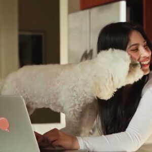 Scientists Say Having Pets in the Office Can Reduce Stress and Make You More Productive