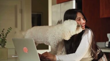 Scientists Say Having Pets in the Office Can Reduce Stress and Make You More Productive